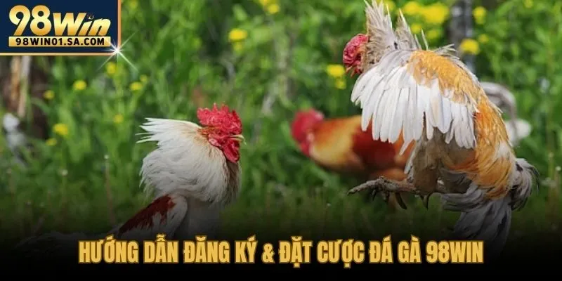 Ba bước từ tạo tài khoản đến đặt cược trên sàn đấu trực tuyến